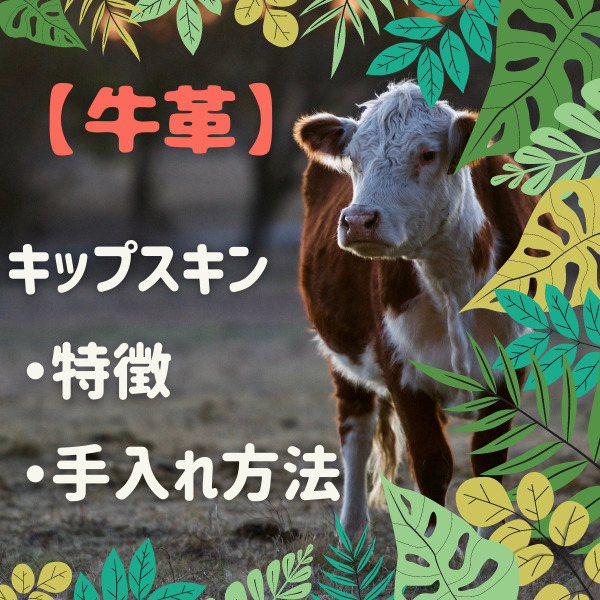 【牛革】キップスキン　特徴・手入れ方法
