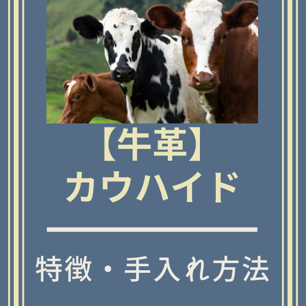 【牛革】カウハイド　特徴・手入れ方法