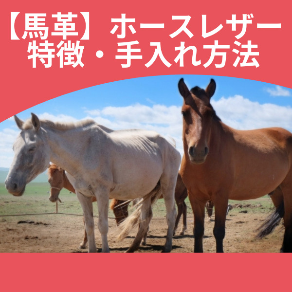 【馬革】ホースレザー 特徴・手入れ方法