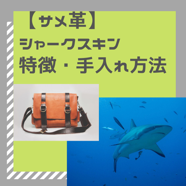 【サメ革】シャークスキン　特徴・手入れ方法